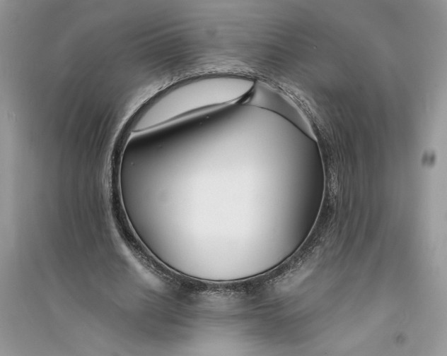 X0000094430630200711291533