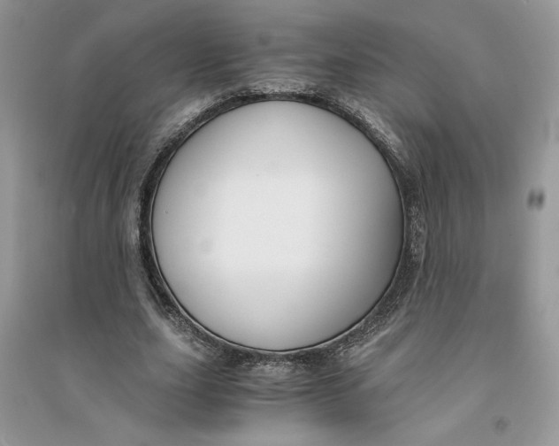 X0000094430631200711291533