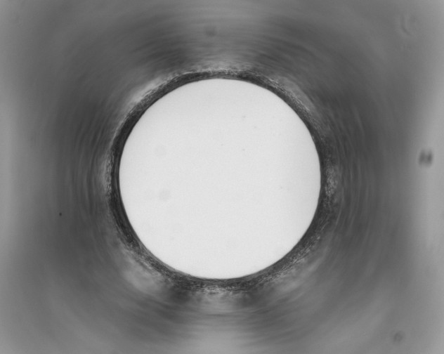 X0000094430632200711291533