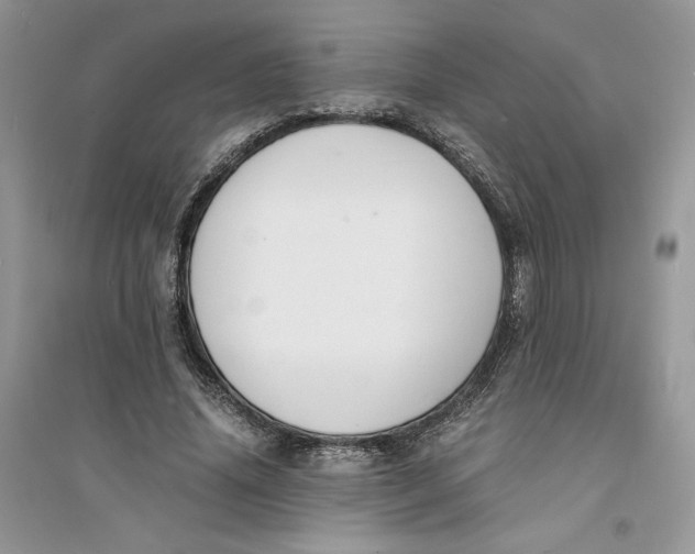 X0000094430636200711291534