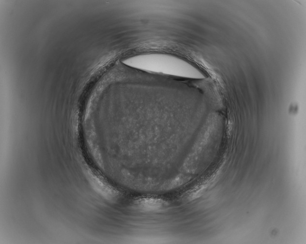 X0000094430637200711291534