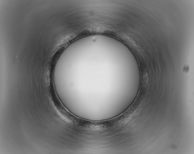 X0000094430638200711291534