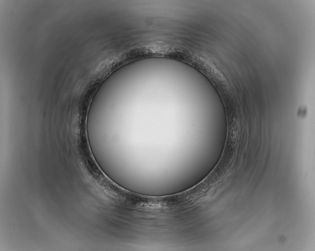 X0000094430639200711291534