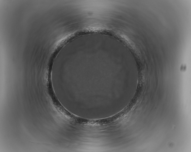 X0000094430640200711291534