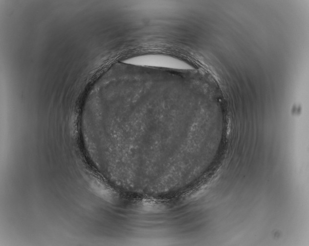 X0000094430641200711291534