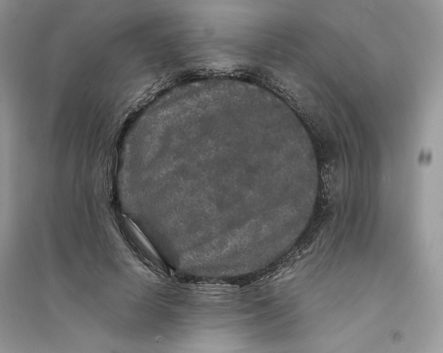 X0000094430642200711291534