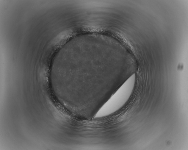 X0000094430643200711291534