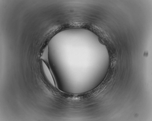 X0000094430647200711291534