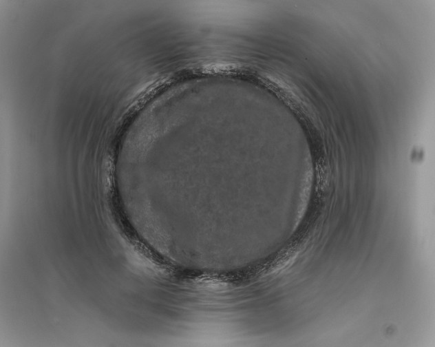 X0000094430648200711291534