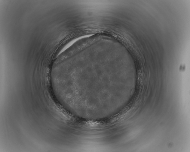 X0000094430650200711291534