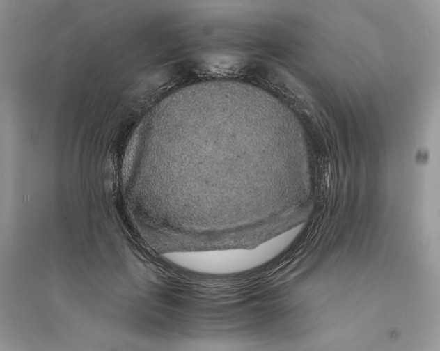 X0000094430651200711291534