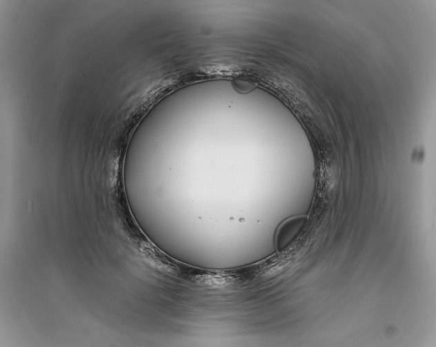 X0000094430652200711291534