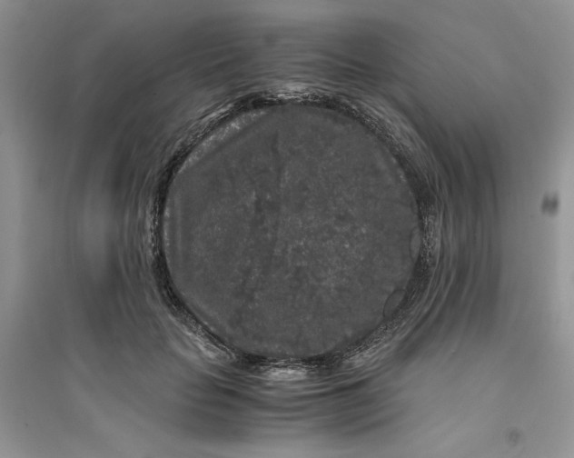 X0000094430653200711291534