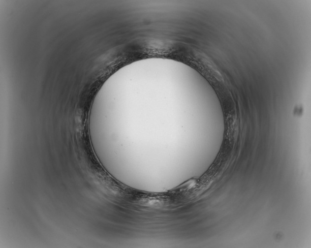 X0000094430655200711291534