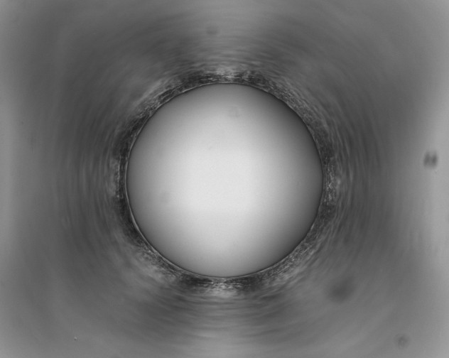 X0000094430656200711291534