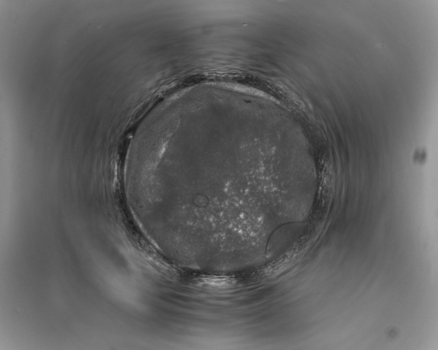 X0000094430659200711291534