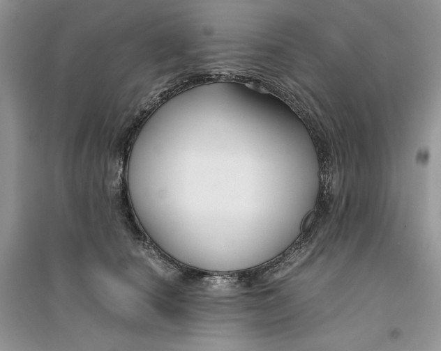 X0000094430660200711291534