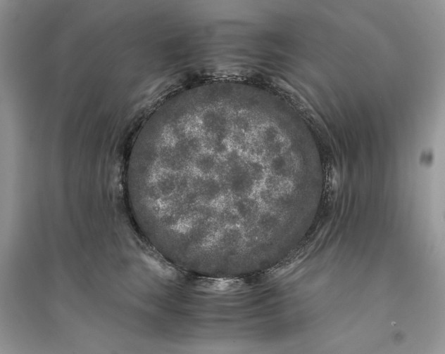 X0000094430663200711291534