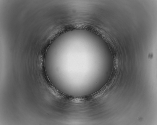 X0000094430664200711291534