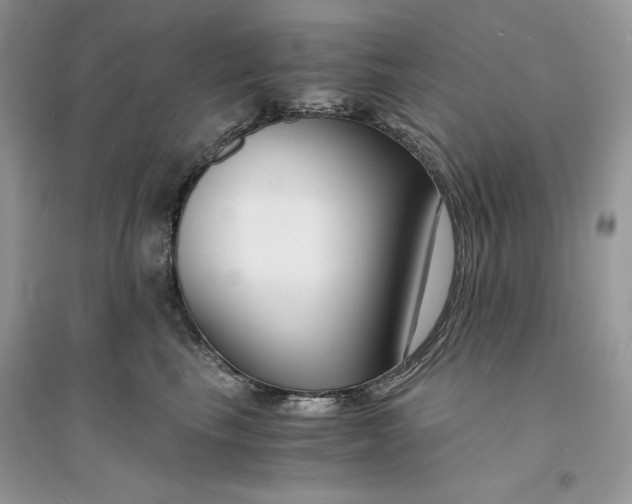 X0000094430665200711291534