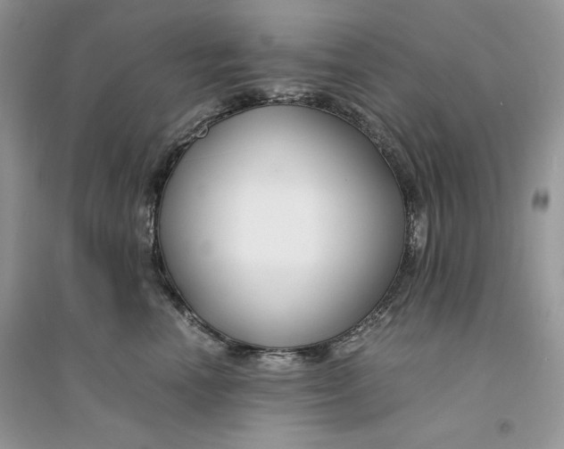 X0000094430666200711291534