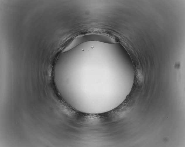 X0000094430668200711291534