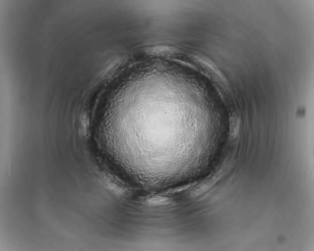 X0000094430669200711291534