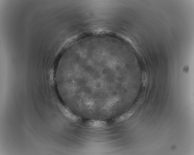 X0000094430670200711291534