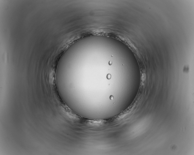 X0000094430671200711291534