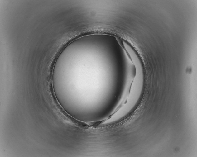 X0000094430673200711291533