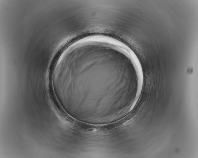 X0000094430678200711291533