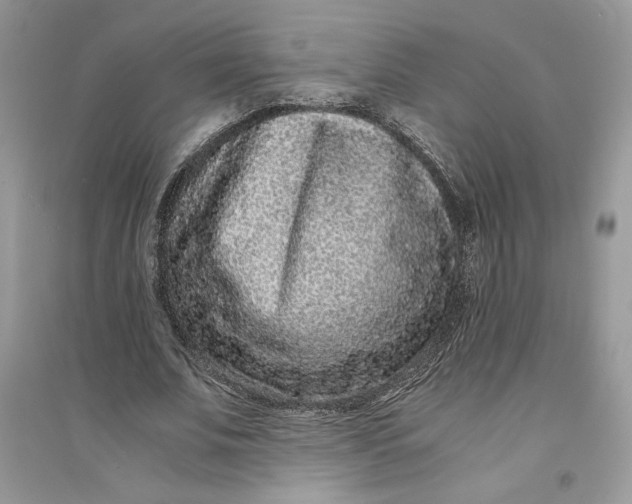 X0000094430679200711291533