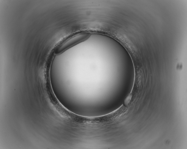 X0000094430680200711291533