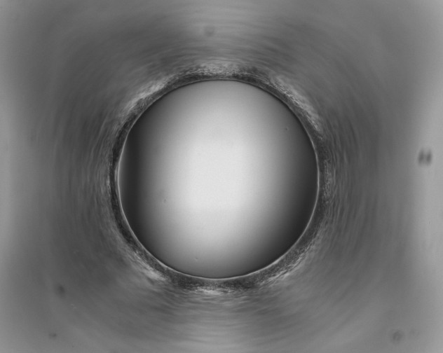 X0000094430681200711291533