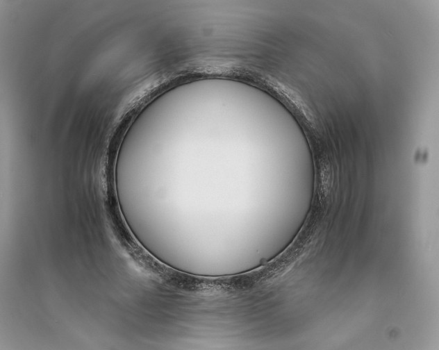 X0000094430682200711291533