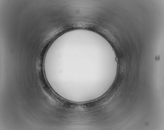 X0000094430683200711291533