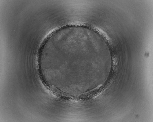 X0000094430684200711291533