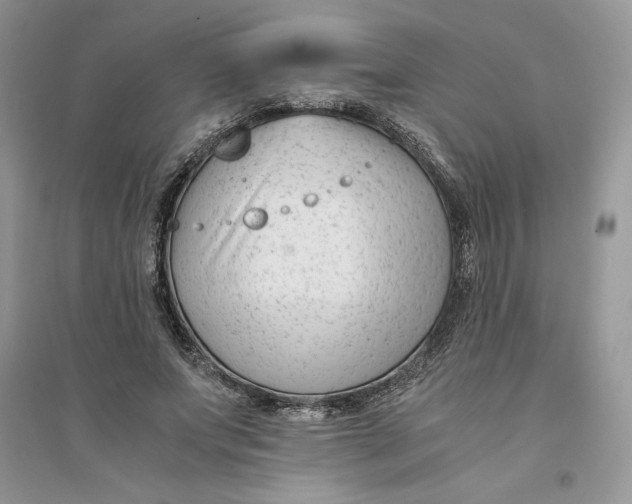 X0000094430687200711291533