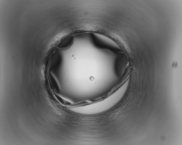 X0000094430688200711291533