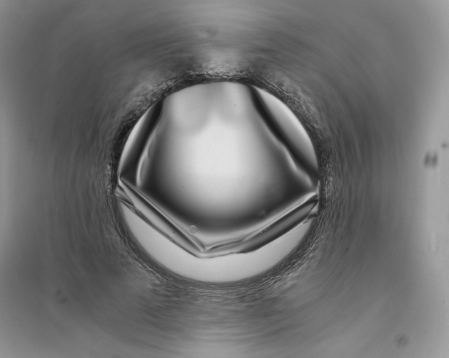 X0000094430689200711291533