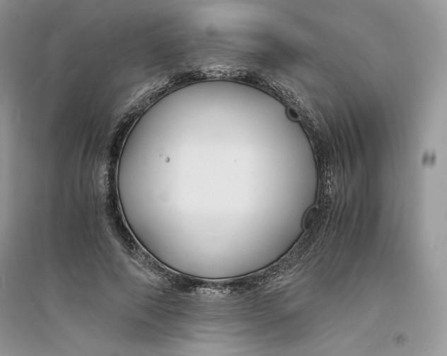 X0000094430690200711291533