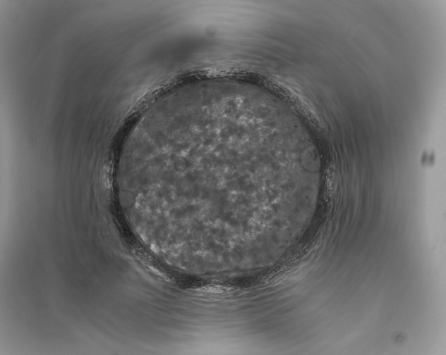 X0000094430691200711291533