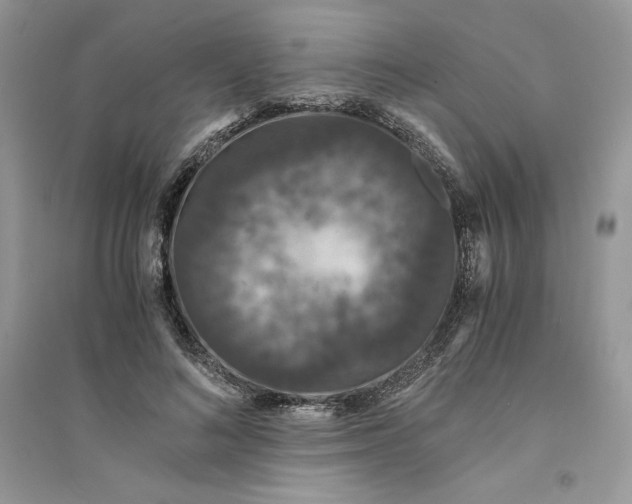 X0000094430692200711291533