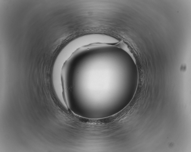 X0000094430693200711291533