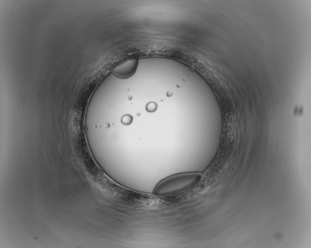 X0000094430695200711291533