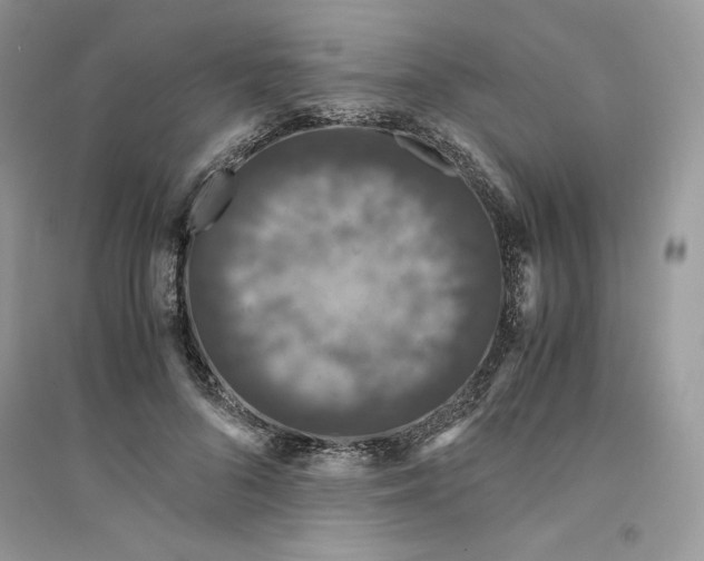 X0000094430696200711291533