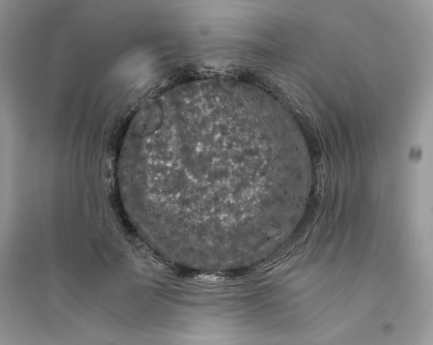 X0000094430699200711291533