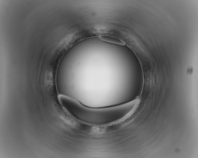 X0000094430700200711291533