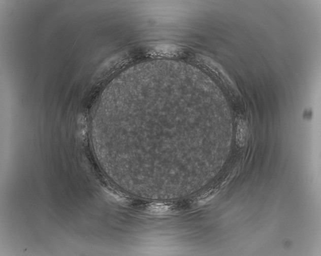 X0000094430701200711291533