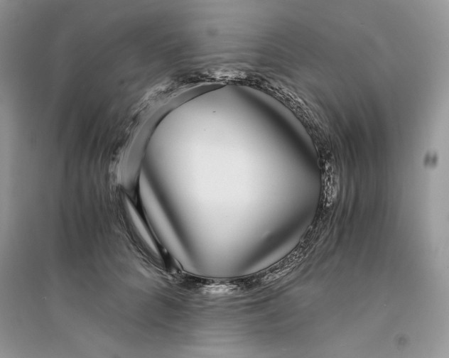 X0000094430704200711291533